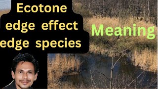 ecotoneecotone meaningecotone and edge effectecotone in hindi ecotone kya haiecotone upsc [upl. by Yoshi444]