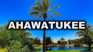 Moving to Ahwatukee Foothills Arizona [upl. by Behm747]