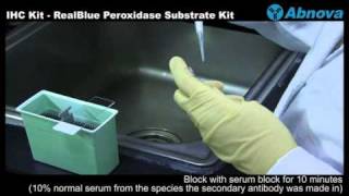 IHC Kit  RealBlue Peroxidase Substrate Kit [upl. by Ltsyrk]