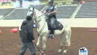 Lexington KY Mounted Police Procedures [upl. by Yttak]