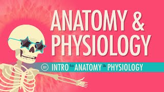 Introduction to Anatomy amp Physiology Crash Course Anatomy amp Physiology 1 [upl. by Vasilis]