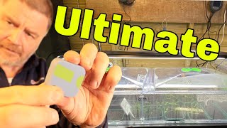 The Ultimate Seed Propagation Setup [upl. by Sloatman]