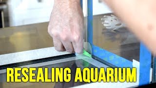 How to Reseal An Aquarium [upl. by Robi969]