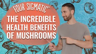 Four Sigmatic The Incredible Health Benefits Of Mushrooms [upl. by Darnoc175]