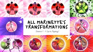 All Marinettes transformations S14 up to Pegabug [upl. by Morissa751]