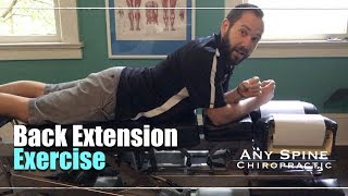 Back Extension Exercise Sciatic Nerve Pain [upl. by Dory]