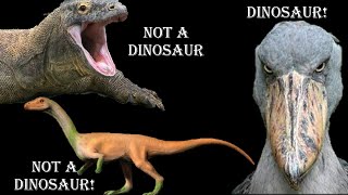 Are birds dinosaurs Part 19 What are dinosaurs [upl. by Anerac390]