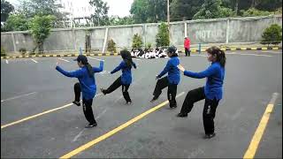 Tianxia Taijiquan 53 jurus 天下太极拳53式 20240907 Pengukuhan DPS Ramayana Sidoarjo Indonesia [upl. by Nnylrats]