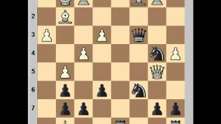 Instructive Slav Defense Game Carlsen vs Gelfand [upl. by Trubow]