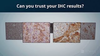 Can you trust your immunohistochemistry IHC results  CST Validation [upl. by Rozella]