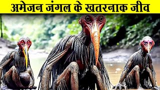 Amazon Jungle Ka Rahasya Hindi Mein  Amazon Rainforest Forest Video Hindi [upl. by Zippora]