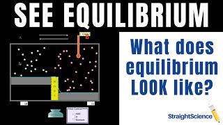 How to Visualize Equilibrium  Using the PhET on Reversible Reactions [upl. by Suaeddaht]