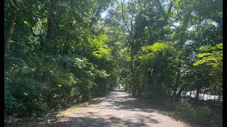 I Ran through the Kissena Corridor Park [upl. by Yecniuq758]