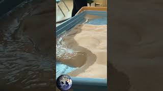 Geoscience Lab Stream Table Demonstration science [upl. by Curtis]