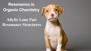 Allylic Lone Pair of Electrons  Resonance Structures for a Molecule with an Allylic Lone Pair [upl. by Domeniga]