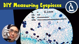 🔬 Microscope hack DIY Eyepiece Reticle  Amateur Microscopy [upl. by Juliette]