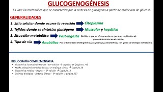 GLUCOGENOGÉNESIS COMPLETO [upl. by Adni]