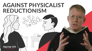 Against Physicalist Reductionism Aquinas 101 [upl. by Attaynik]