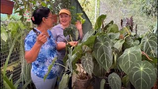 Vivero de Orquídeas bromelias y Plantas Exóticas [upl. by Saucy]