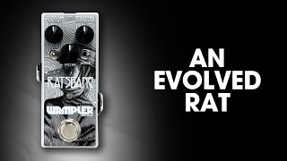 Wampler Ratsbane vs Pro Co Rat  Wampler Ratsbane Distortion  Fuzz  Overdrive Pedal Demo [upl. by Nelon]