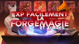 DOFUS  GUIDE FORGEMAGE comment exp les metiers rapidement [upl. by Lankton301]