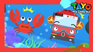 NEW Sea Animal Song Series l Pinchy Pinchy Crab l Crab Song l Tayo the Little Bus [upl. by Ailema]