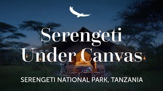 Live Africas Great Adventure  Serengeti Under Canvas  Tanzania [upl. by Wendall]