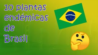 10 plantas endémicas de Brasil [upl. by Monda567]