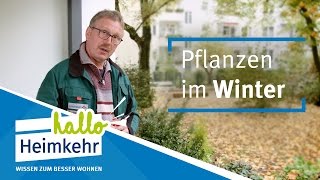 So schützen Sie Ihre Balkonpflanzen im Winter [upl. by Ahtelra553]