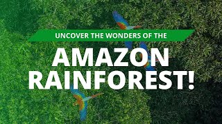 Shocking Truths Revealed Amazon Rainforest [upl. by Oakley]