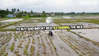 phnews Major Changes to Rice Tariff Law 🌾 may 8 2024 [upl. by Brothers]