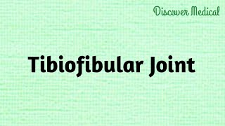 Tibiofibular Joint  joints [upl. by Hamil717]