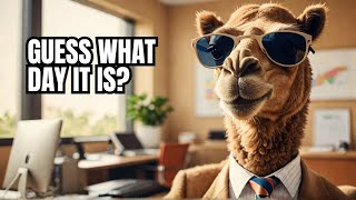 Best Top Geico Commercials  Hump Day  Guess what day it is  Camel mike mike mike mike [upl. by Asela]