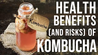 NEW 2024 Science on KOMBUCHA Tea Health Benefits  Is Kombucha ACTUALLY Good for Gut Health [upl. by Daniala]