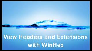 View Headers and Extensions with WinHex [upl. by Ela]