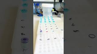 Bunch of plasmid miniprep isolation lablove molecularbiology phdjourney chromosome [upl. by Okire]