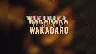 Prince boyahwakanaka wakadaro lyric video [upl. by Sanjiv]