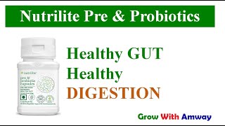 Maximize Your Gut Health Nutrilite Pre amp Probiotics Review [upl. by Merton]