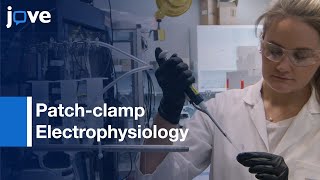 Patchclamp Electrophysiology for Synaptic Multiplicity Evaluation  Protocol Preview [upl. by Tiebold993]