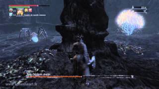 PS4 Bloodborne  Calice de Pthuméru Inférieur Lower Pthumeru Chalice  Rom [upl. by Maletta883]