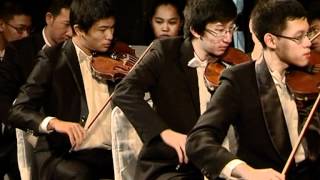 Tchaikovsky Violin Concerto  2nd Movement [upl. by Holland]