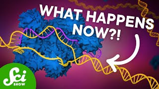 The First CRISPR Gene Therapy Is Here [upl. by Gruver]