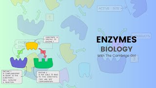 EnzymesIGCSE BIOLOGY Proper explanation [upl. by Florio]