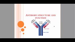 Antibody structure and function  chapter 5 [upl. by Carew]