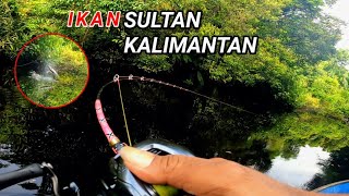 MOMENT TAK TERDUGA SAAT CASTING IKAN TOMAN  TIBA² IKAN SUPER LANGKA MENYAMBAR UMPAN [upl. by Ahtelat]