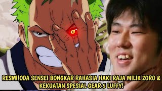 RESMI AKHIRNYA ODA BOCORKAN RAHASIA PENTING HAKI RAJA ZORO amp KEKUATAN SPESIAL GEAR 5  Vivre Card [upl. by Knox288]