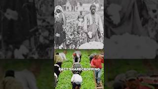 Remember what happened over 60 years ago Sharecropping ended Its the same as slavery [upl. by Ynnahc]