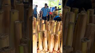 Edible Dwarf Coconut Tree  Coconut Tree Cutting Skills [upl. by Magbie400]