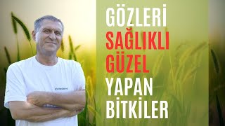 GÖZE ve GÖZLERE İYİ GELEN BESİNLER GÖZE EN İYİ GELEN BİTKİ VİTAMİNLER MEYVELER [upl. by Edmon]