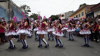 Cachiporras Colegio Leon Siguenza 15 de sep 2018 [upl. by Anigal]